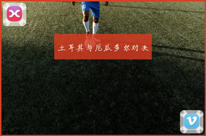 土耳其与厄瓜多尔对决 - 必一运动体育