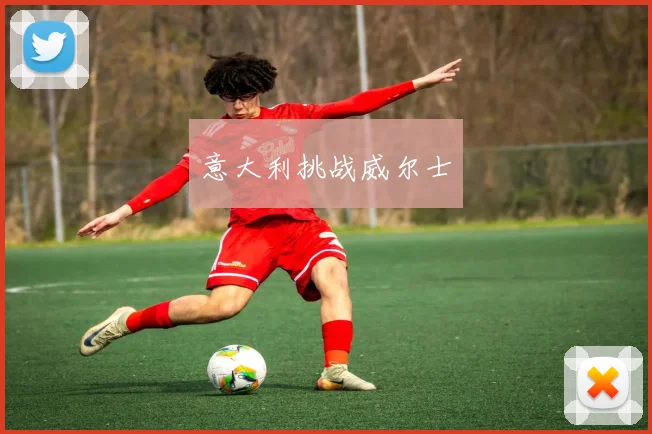 意大利挑战威尔士 - 必一运动体育